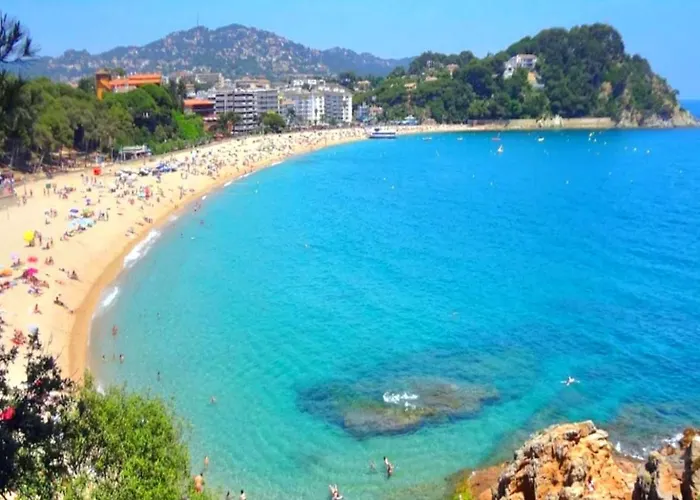 Loreto Go2lloret 公寓 *